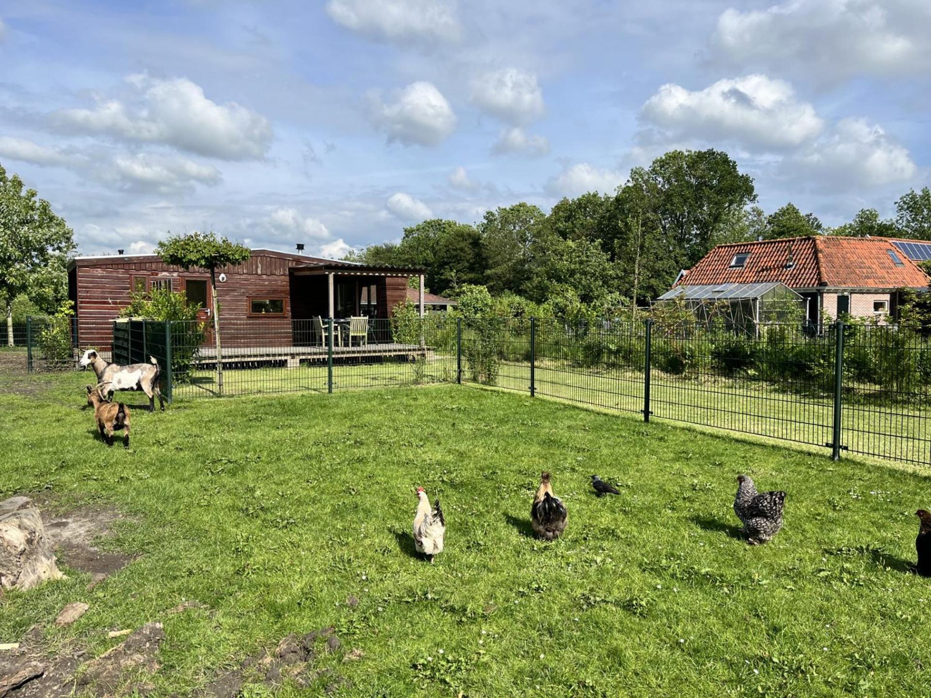 Villa Vrijstaand Chalet Met Veel Buitenruimte En Veranda Zuid-Scharwoude Exterior foto